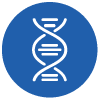 PCR DNA