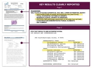 BakoDx Sample PCR Report
