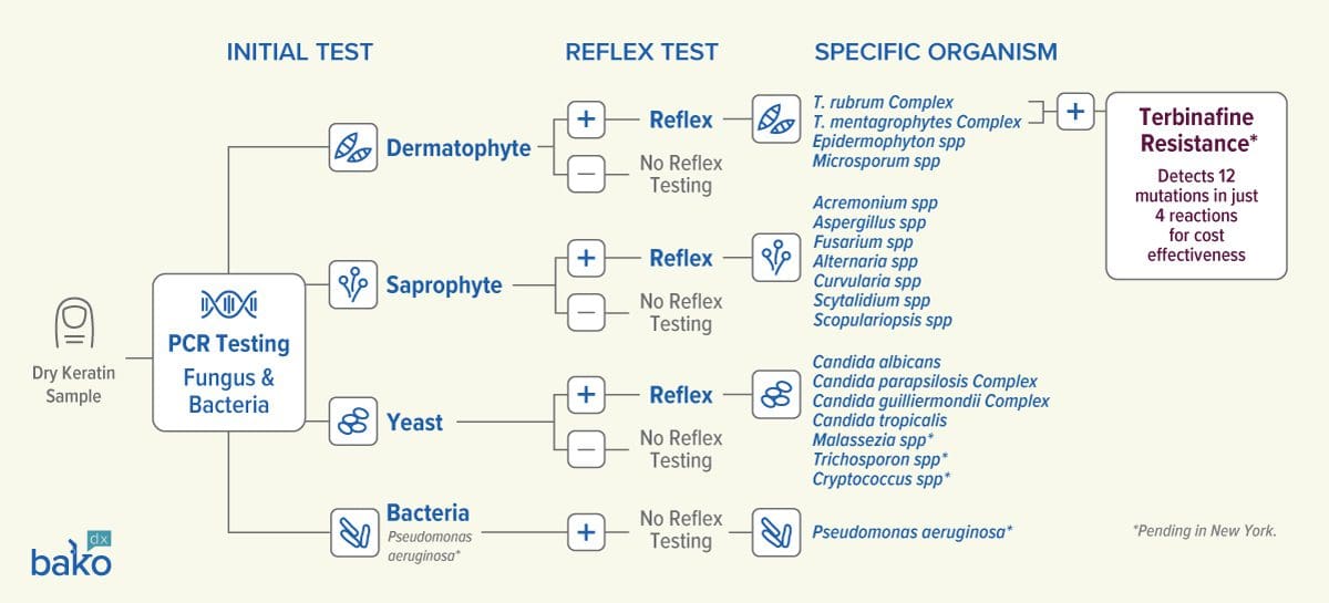 BakoDx PCR Reflex Flow